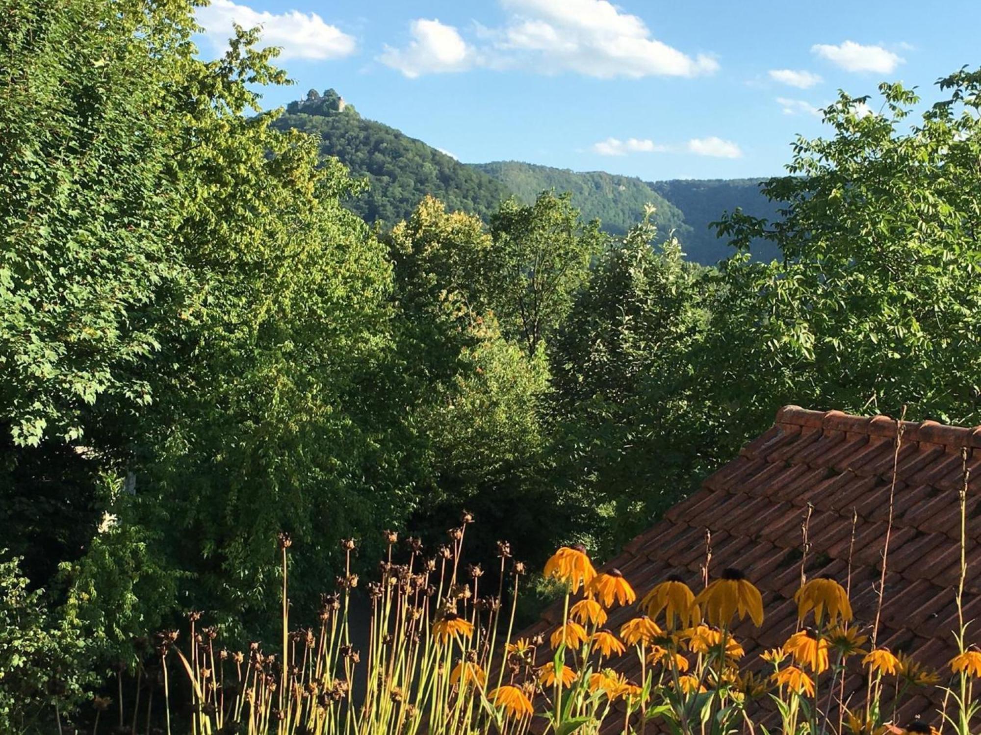 Haus Am Sonnenhuegel Apartment Bad Urach Luaran gambar
