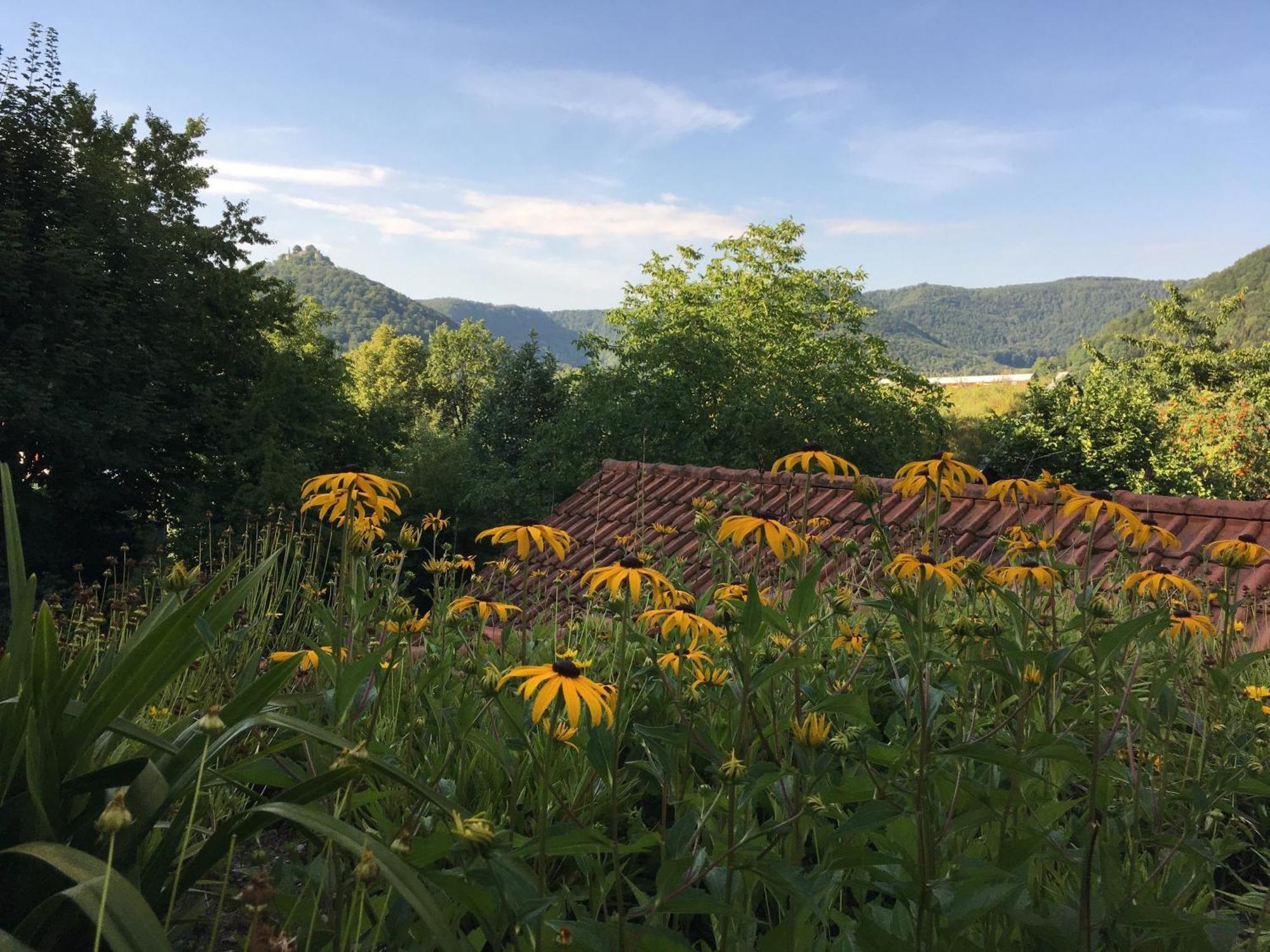 Haus Am Sonnenhuegel Apartment Bad Urach Luaran gambar