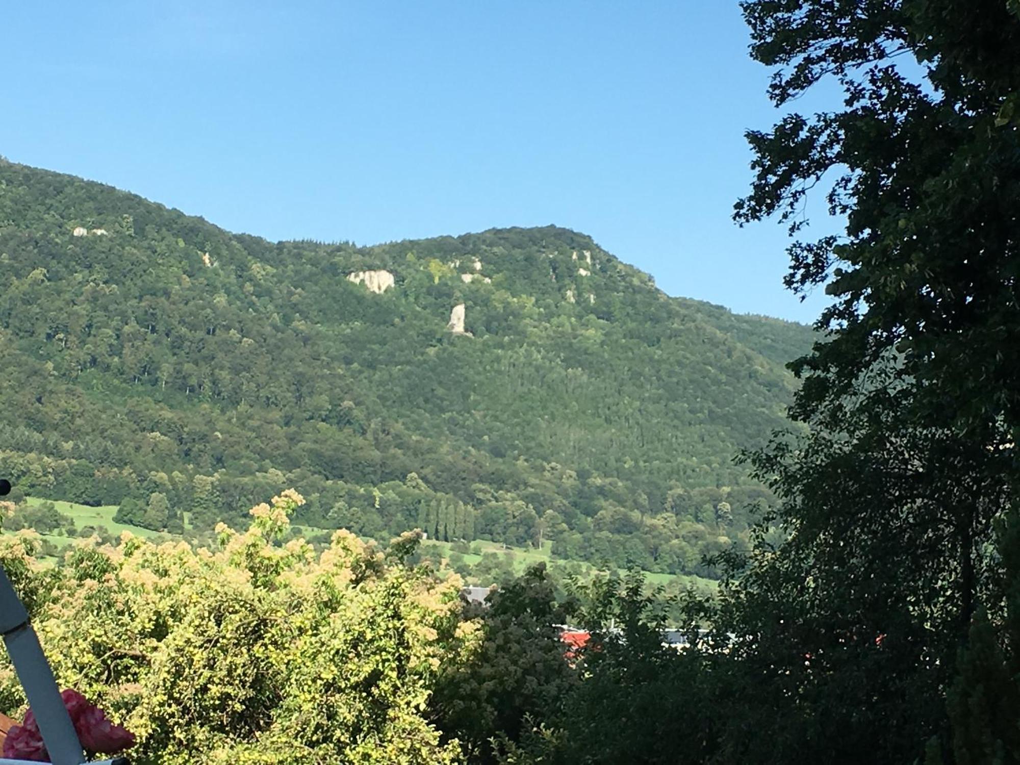 Haus Am Sonnenhuegel Apartment Bad Urach Luaran gambar